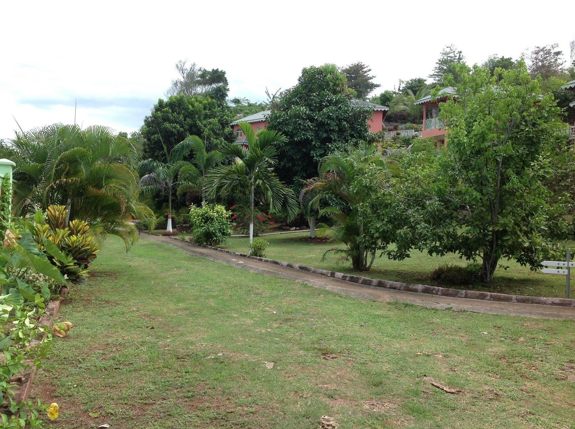 Pimento Lodge Resort Port Antonio Exterior photo